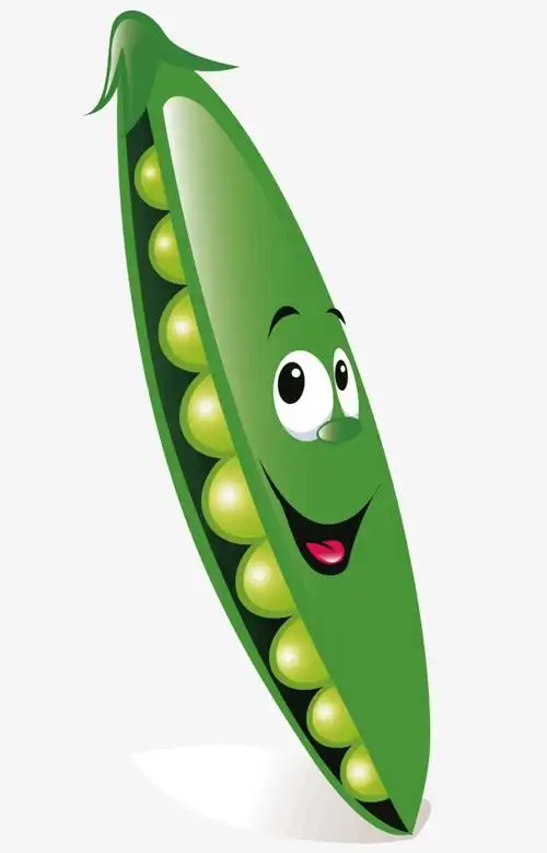 一个卡通的绿色豌豆
