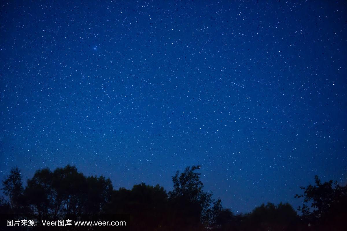 夜晚森林里深蓝色的天空