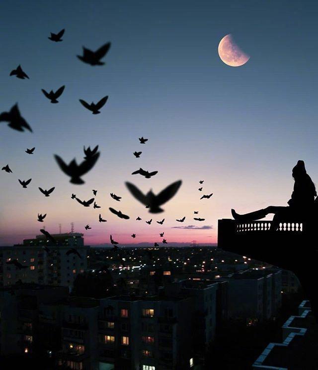 积极向上的晚安心语,句句经典,适合睡前思考!