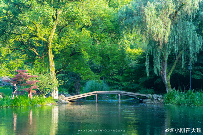 入夏的杭州太子湾公园##微博旅行家##城市巡游记