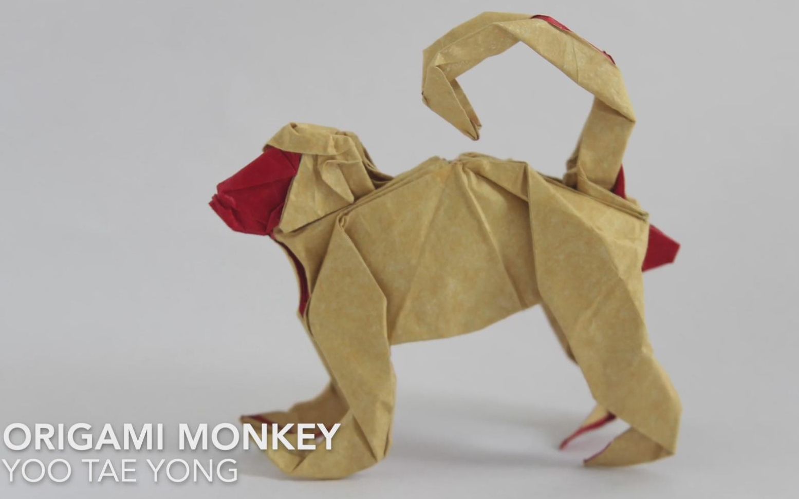 【折纸搬运】猴子 屁股红不红?