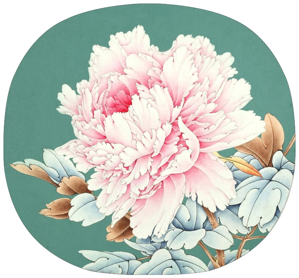 工笔画步骤分享牡丹团扇《赵粉》 1,花头淡墨勾勒,正叶及枝梗部分则