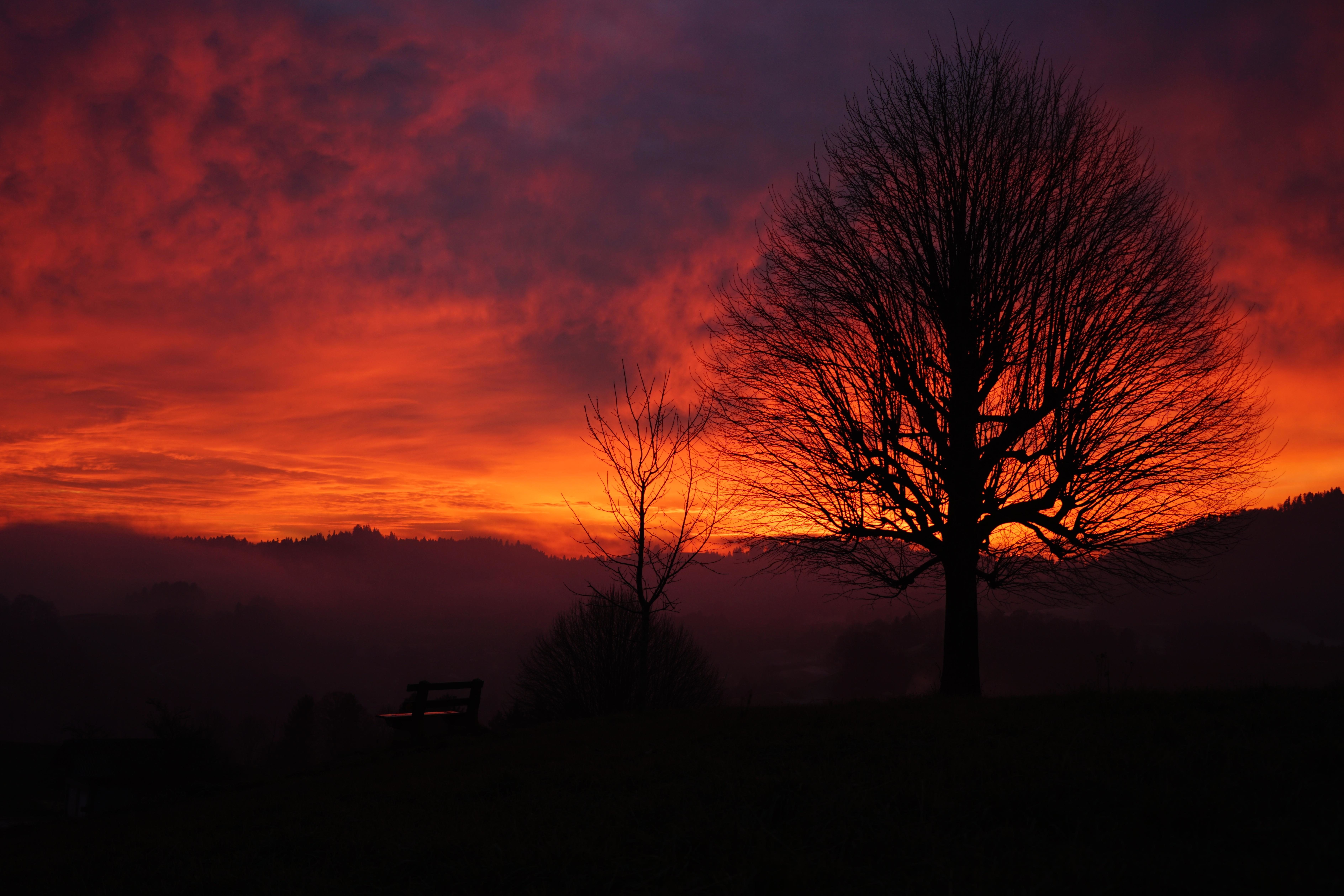 日落, 黎明, 背光, 太阳, 天空, 大气, 日出, 夜晚