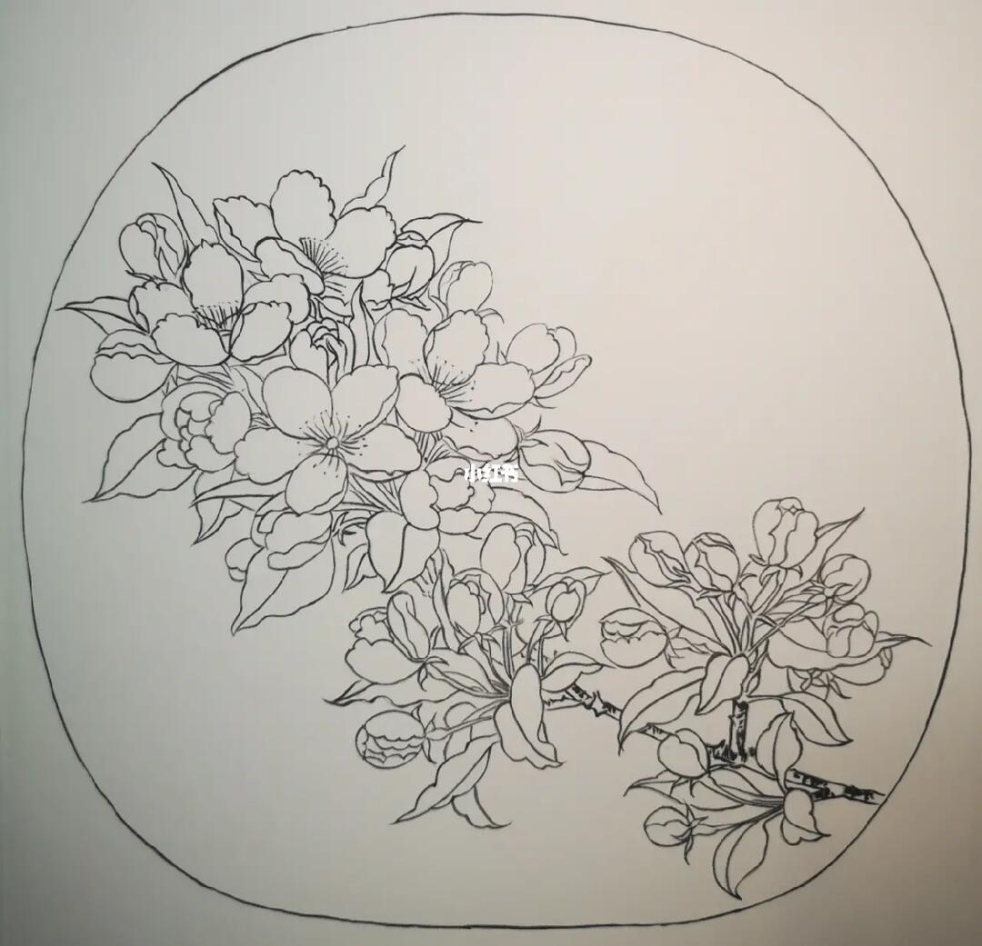 工笔画白描写生海棠图宋林椿