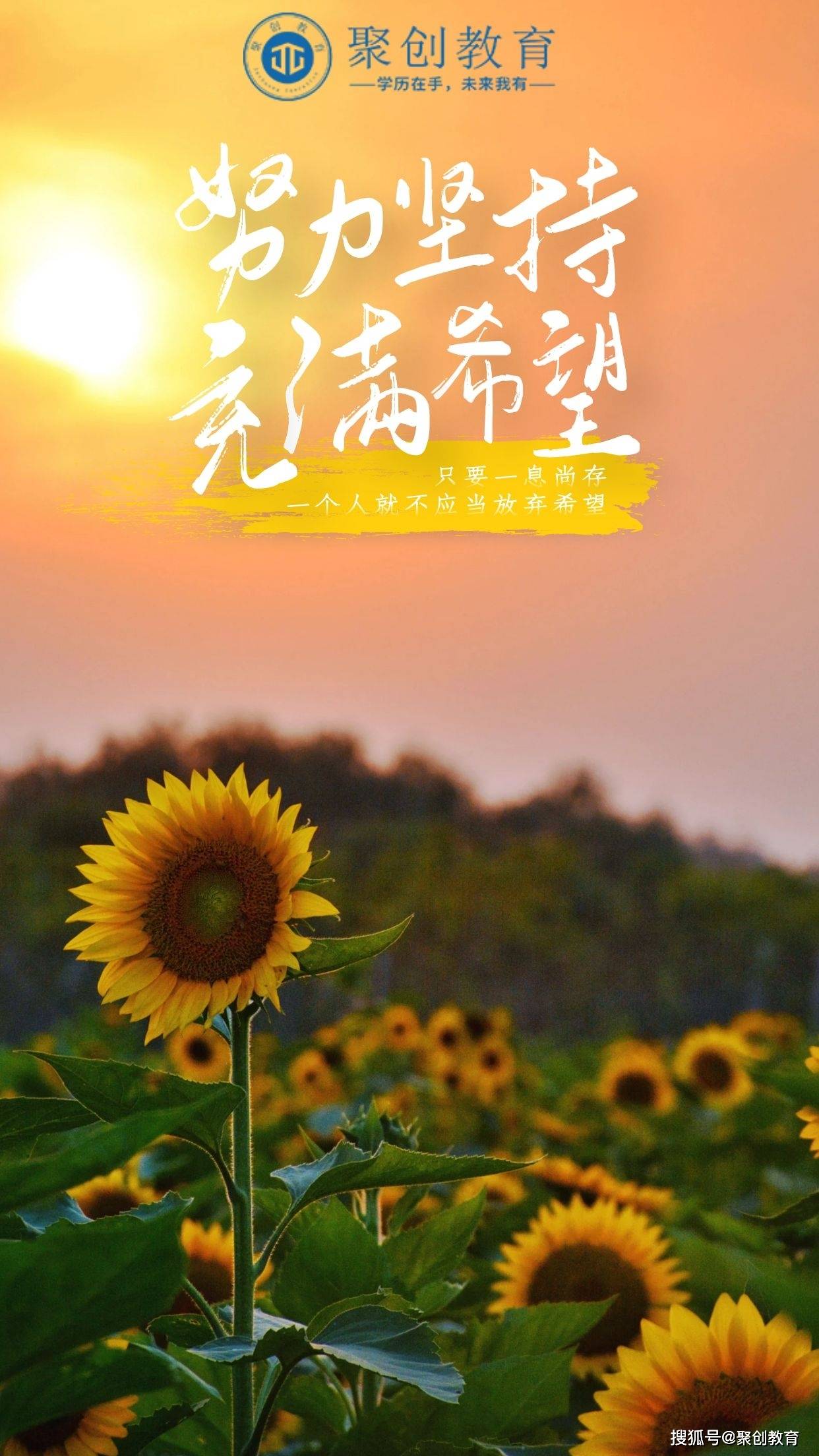 尽管走下去努力坚持充满希望