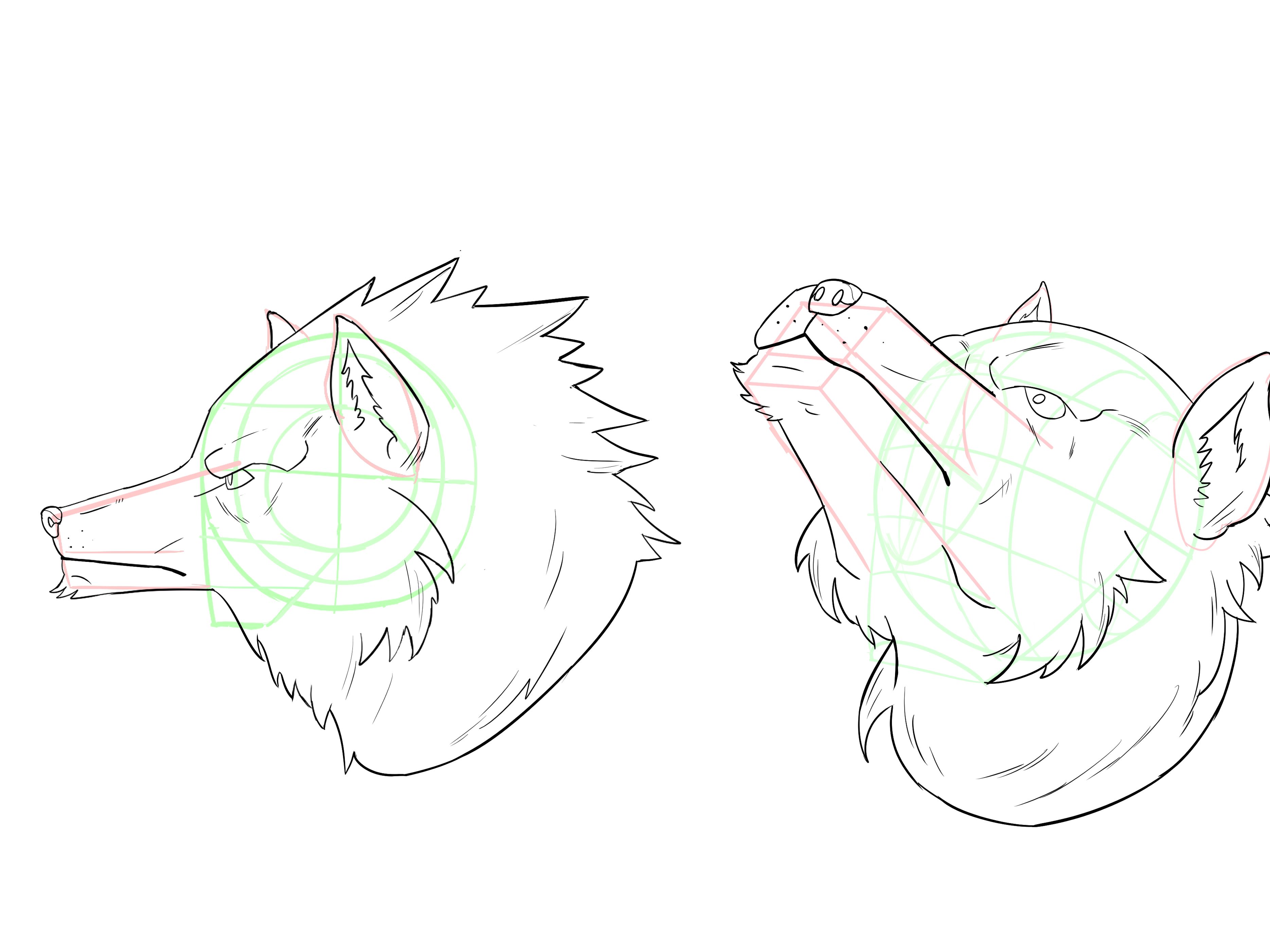 furry兽人怎么画教你绘制狼人兽设的画法教程