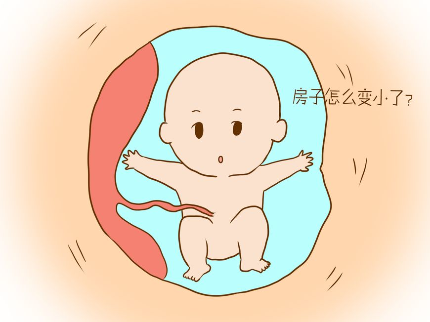 孕期同房时,准妈妈肚子里的胎儿会有这些感觉,还挺有趣的