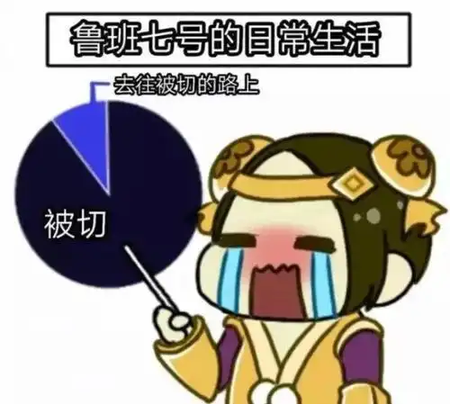 鲁班表情包玩电脑