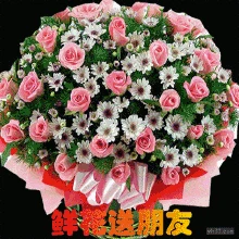 鲜花_百度图片搜索