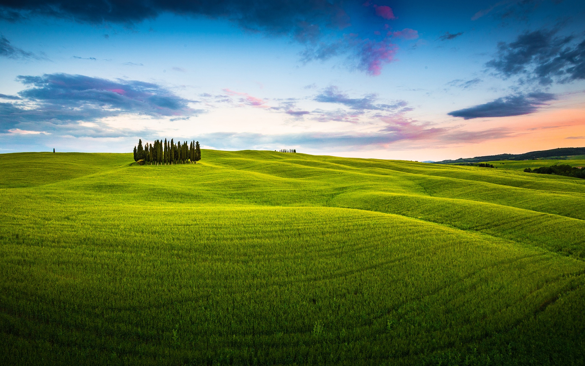 美丽的草原风景清新怡人电脑桌面壁纸图片