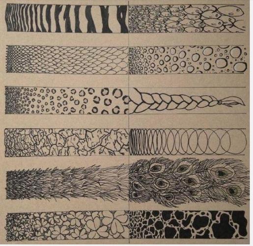 简笔画基本功线条纹理进阶篇