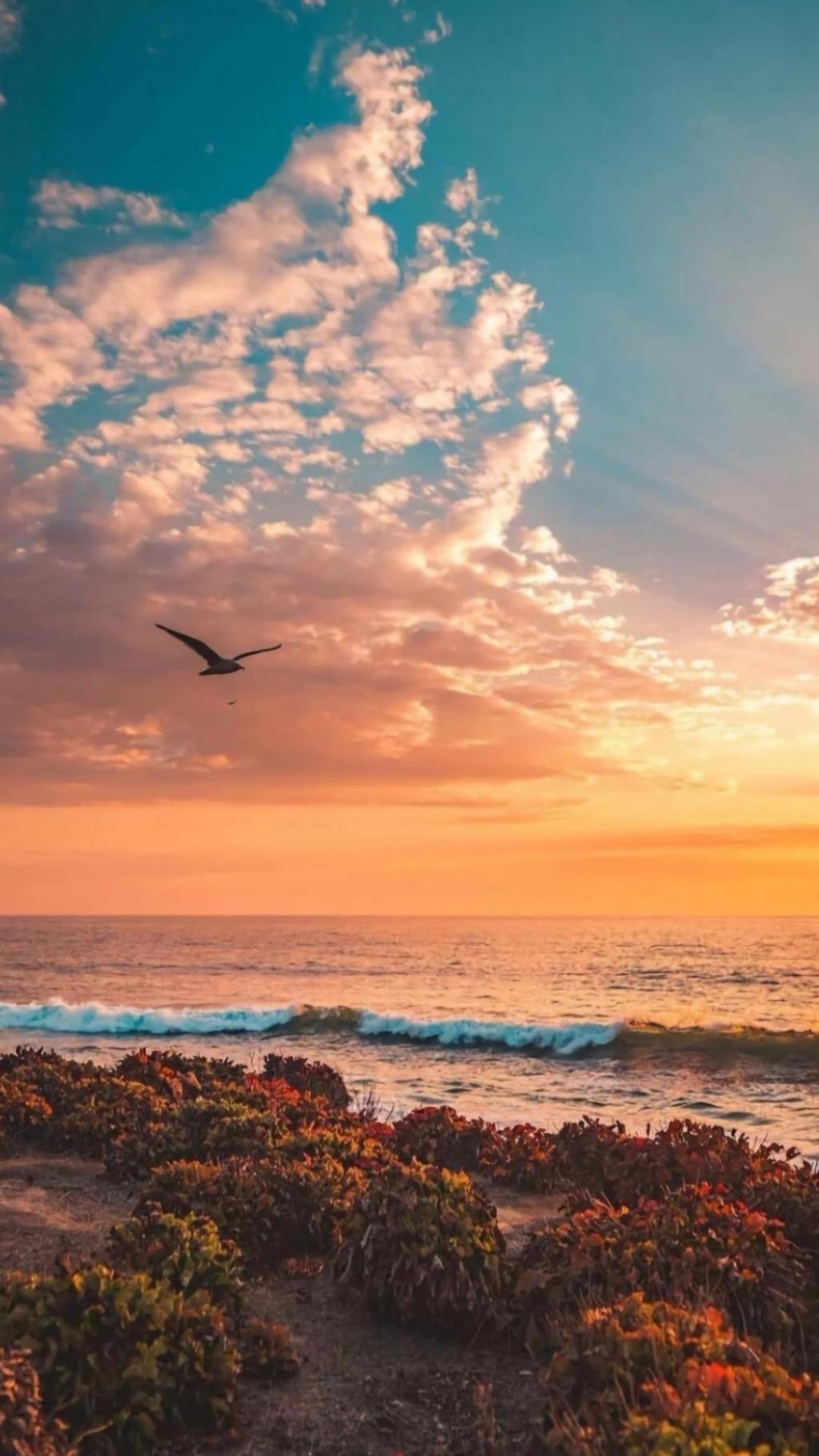 破晓前最飘逸的伏笔——黄昏