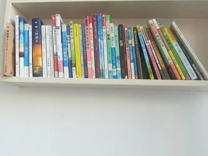 光明给我们经验,读书给我们知识——于都县明德小学六(1)班谭恩凯