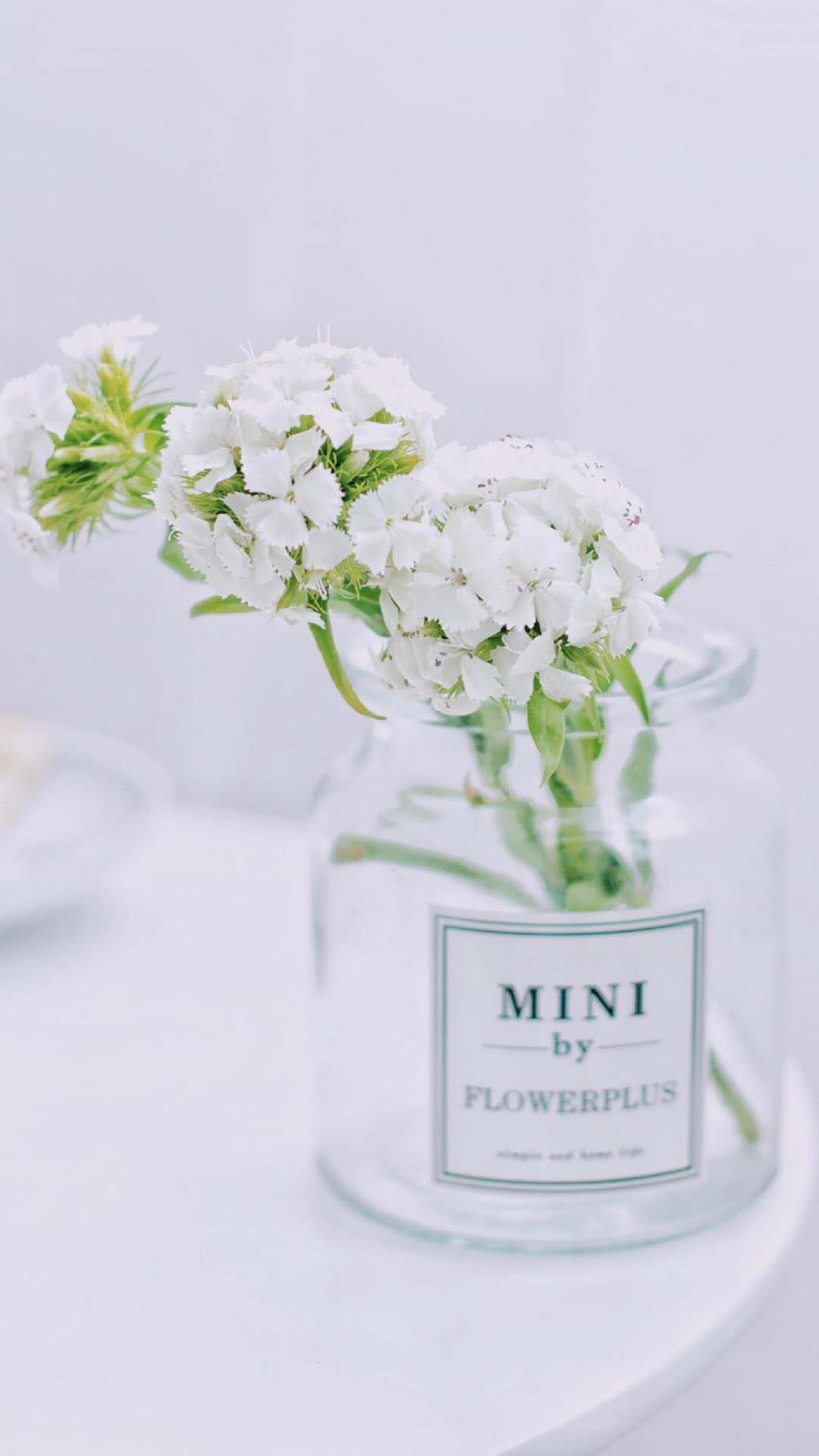 文艺小清新花卉唯美写真