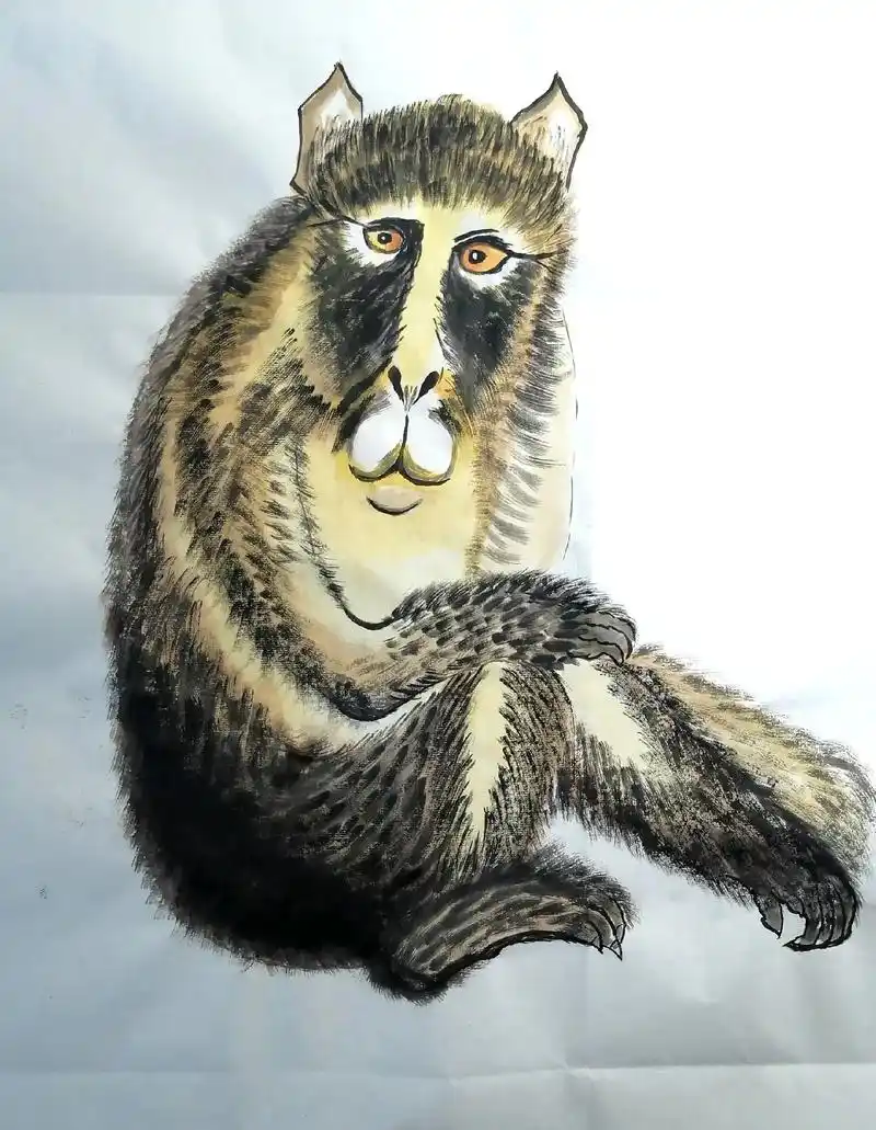 国画花鸟#写意花鸟#猴子#水墨人生  - 抖音