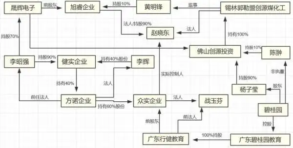 29岁碧桂园千金杨子莹的新生意:20亿估值和两家上市公司