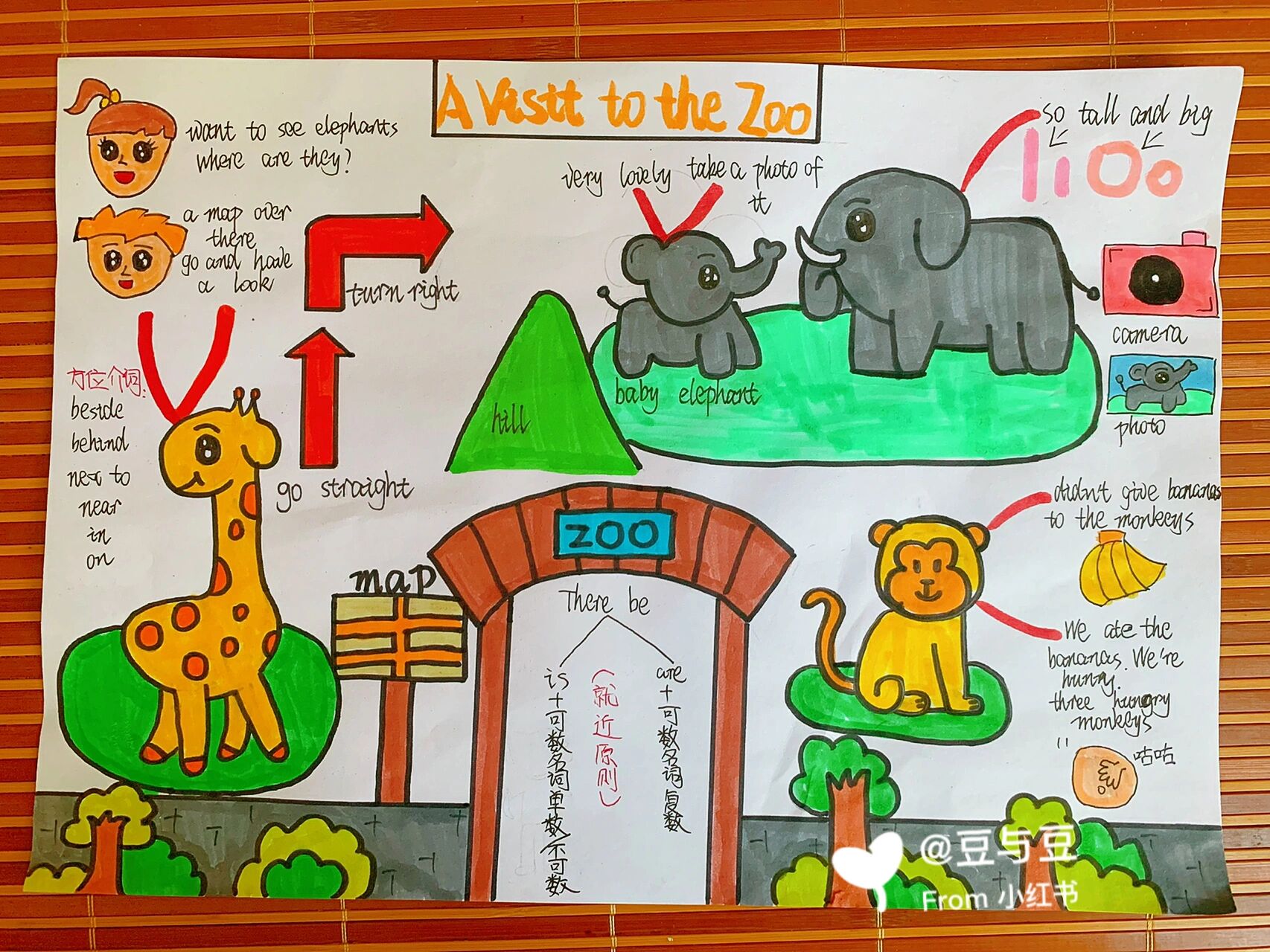 五下英语第二单元思维导图a visit to the zoo