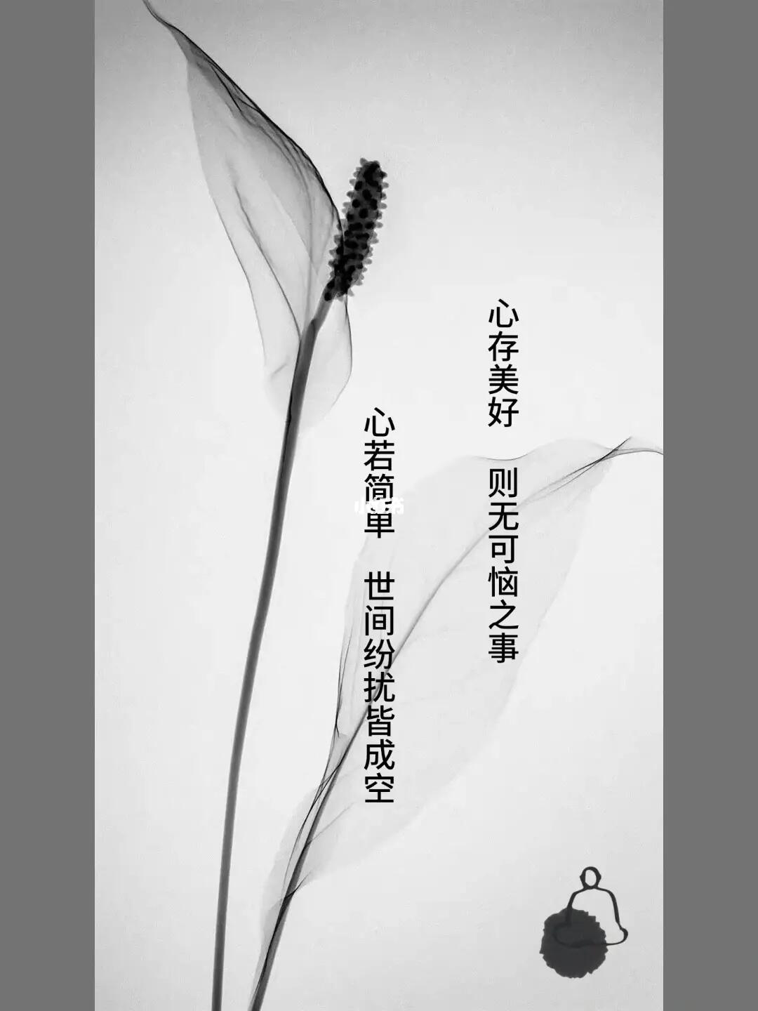 心若简单世间纷扰皆成空#女性成长#心灵成长#禅悟人生#朋友圈文案