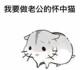 我要做老公的怀中猫_我要_老公_怀中表情