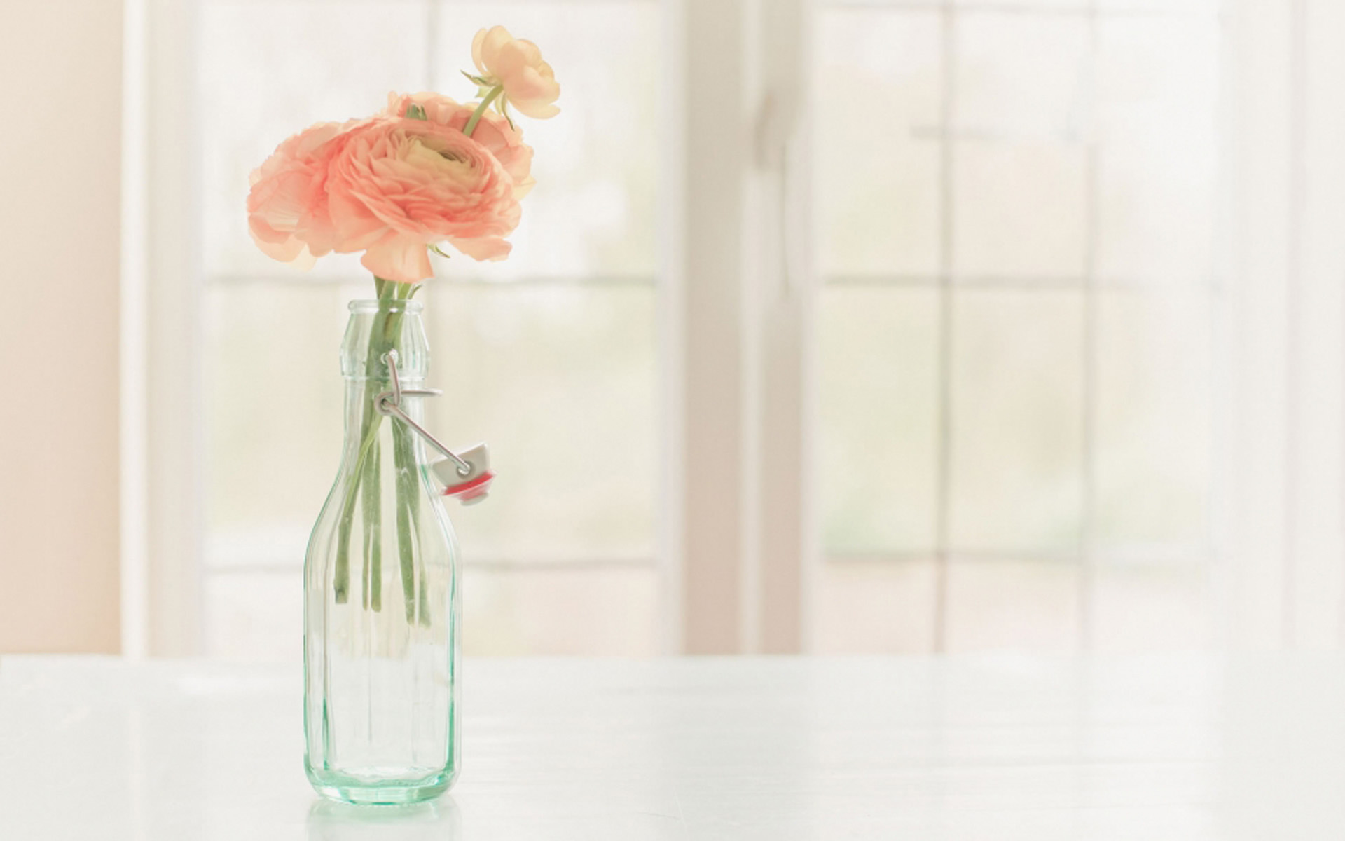 小清新文艺风景静物高清桌面壁纸