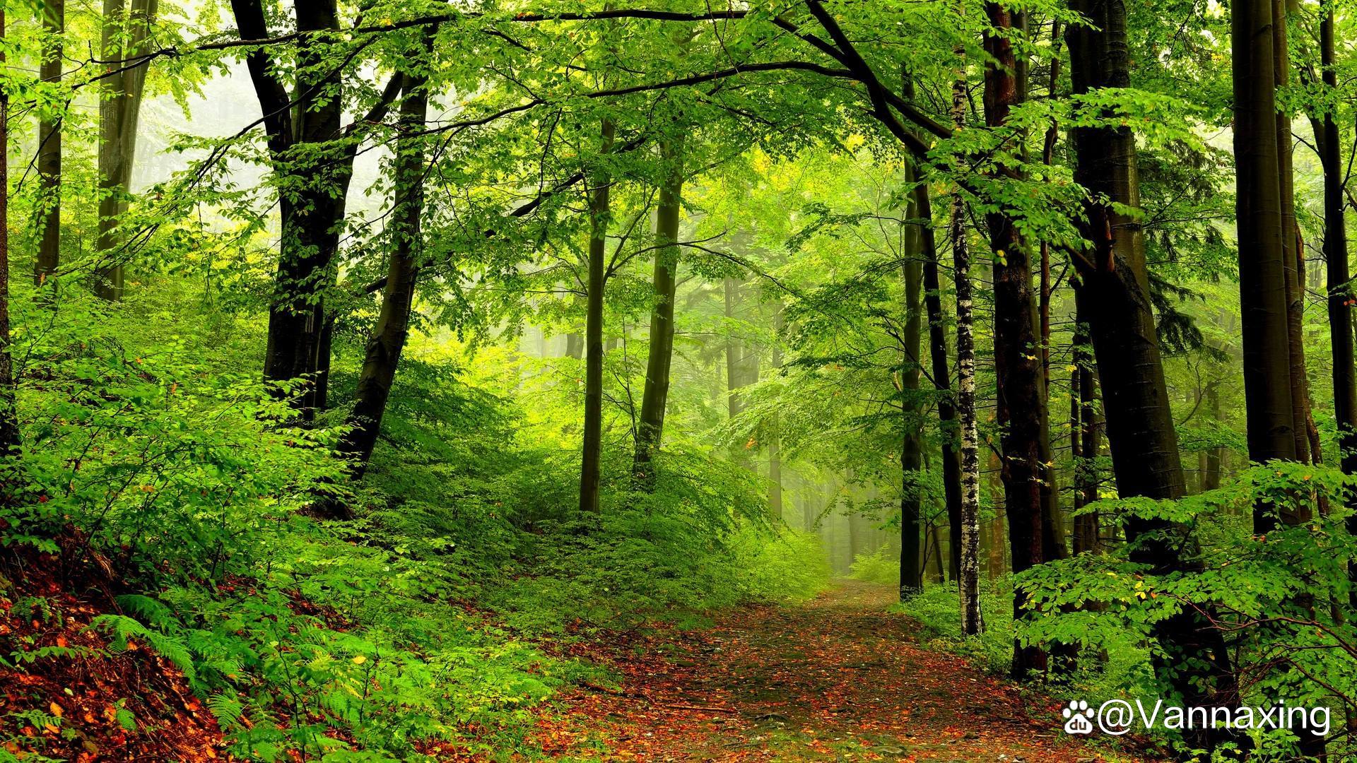 大自然风景美图集(一)