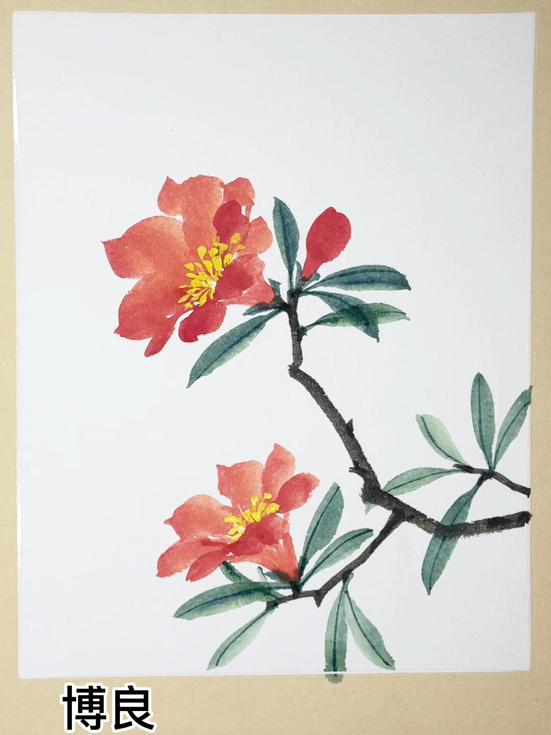 国画石榴花画法