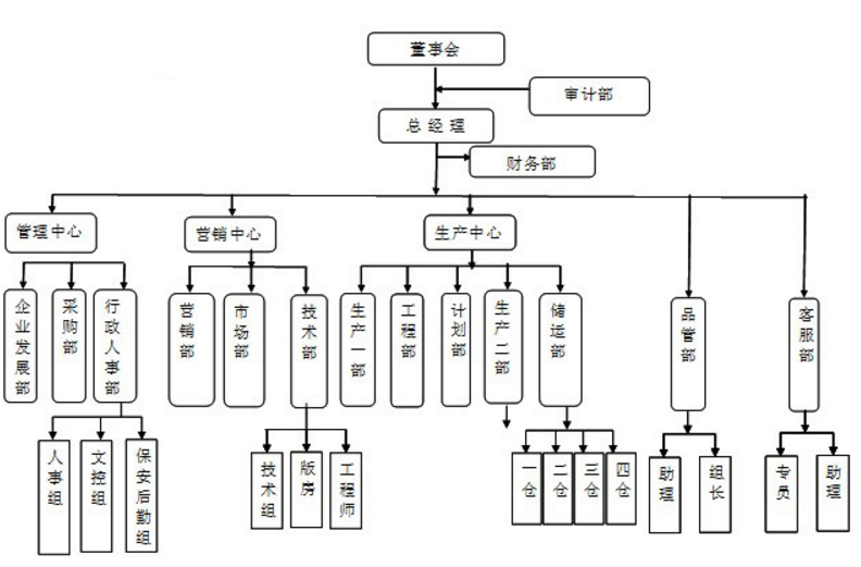 (三)矩阵式组织结构
