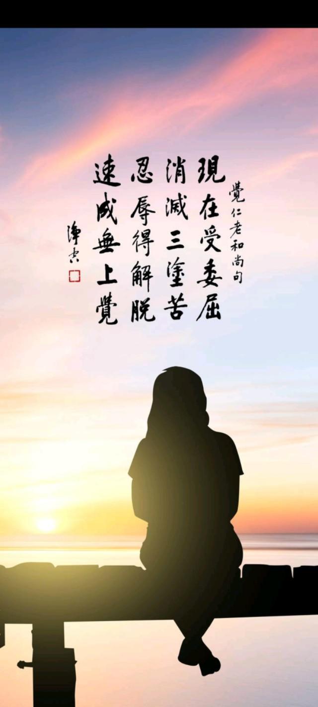 壁纸|佛系壁纸而已