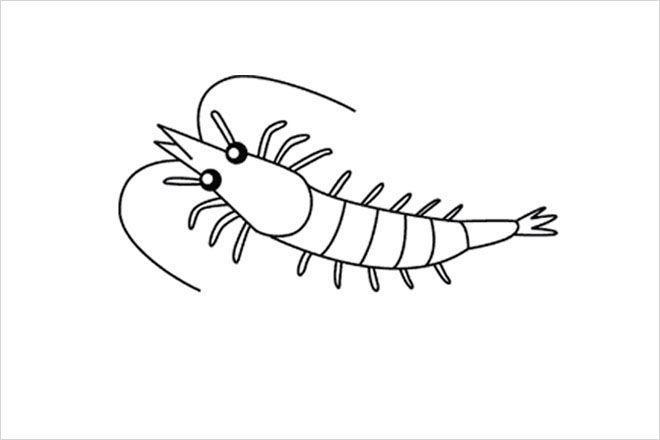 卡通大虾简笔画