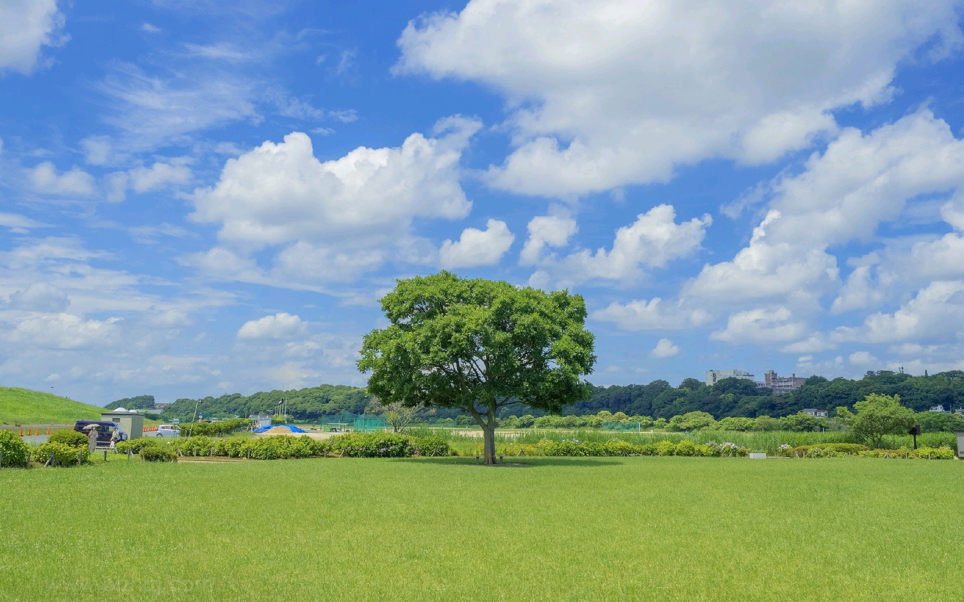 1/3下一页尾页时间:2021-07-16浏览:(649)标签:格式:jpg热门壁纸标签