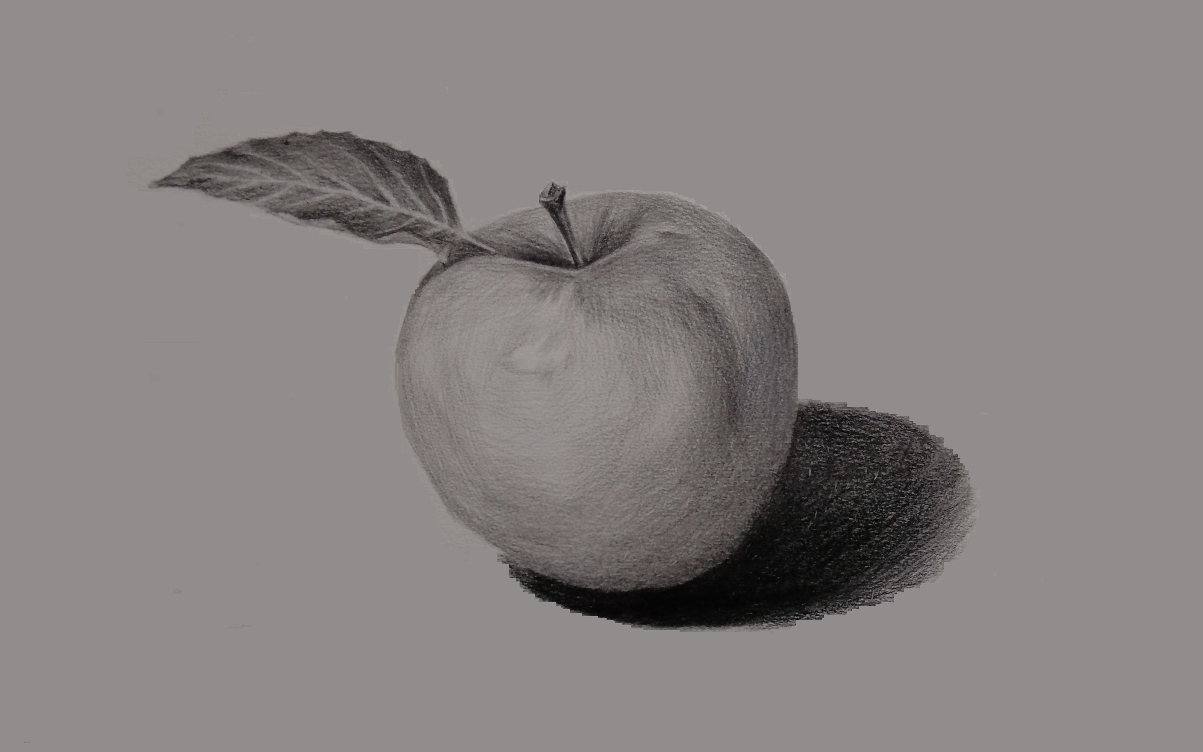 【零号素描法则】(零基础素描)画苹果最没套路的手法!