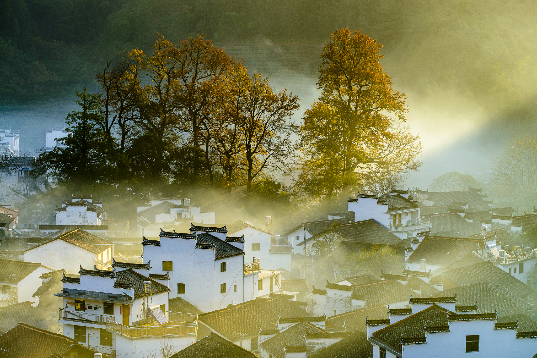 婺源位于江西省,被誉为中国最美丽的乡村之一.