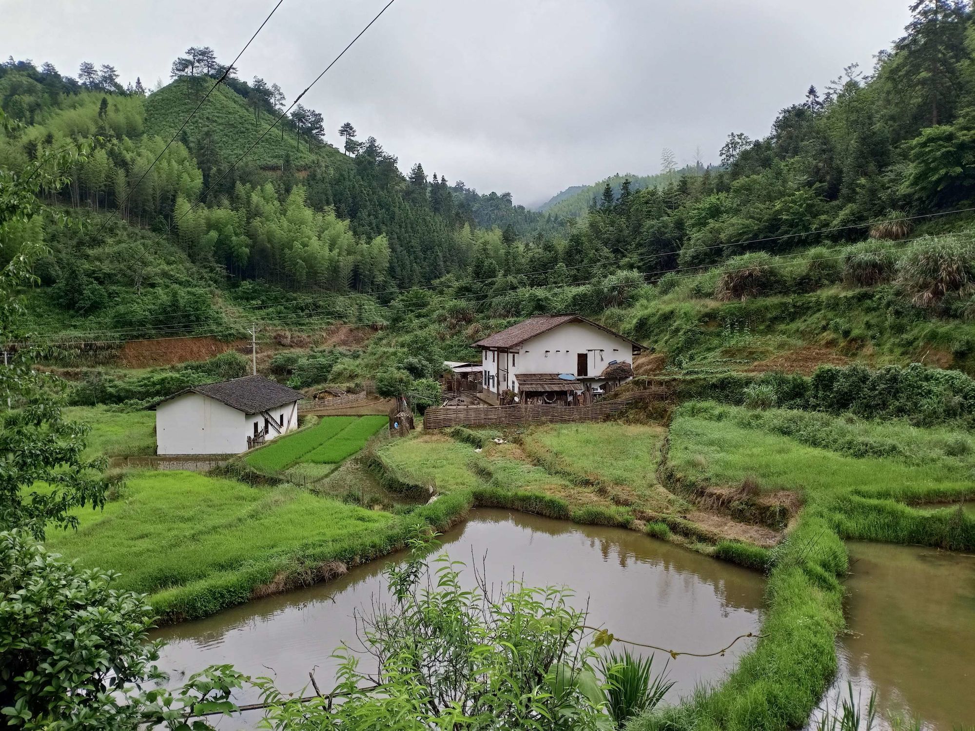 乡村随笔(下山大窝)