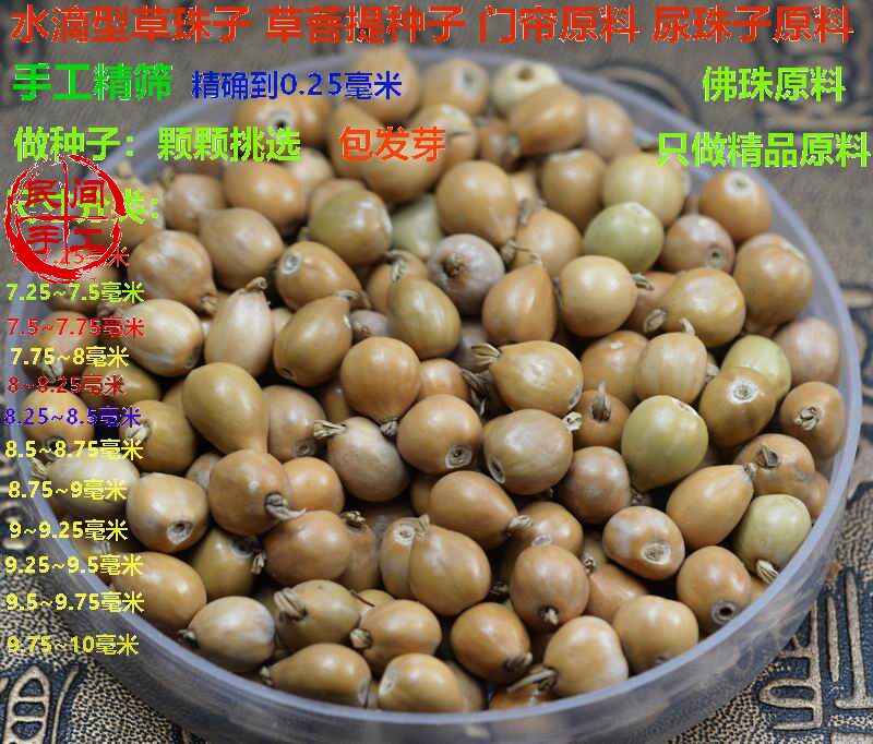 草珠子手串门帘 原料 草珠子门帘 佛珠原料草珠子苗菩提佛珠男女