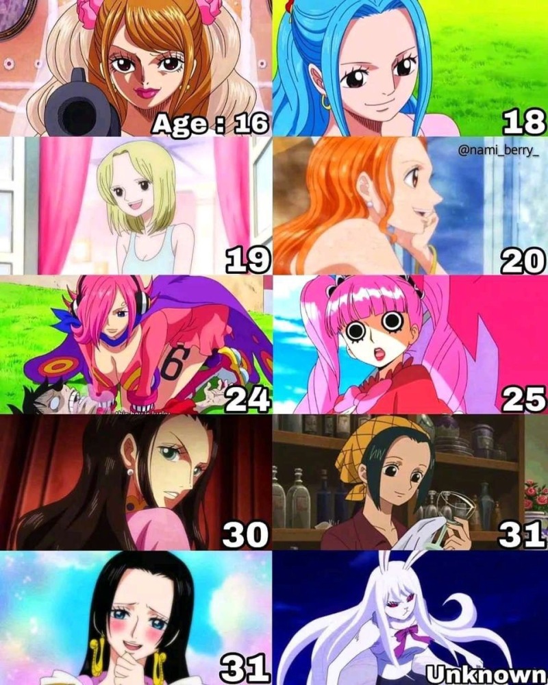 《海贼王》所有女角色年龄一览,你们家女神几岁 zt