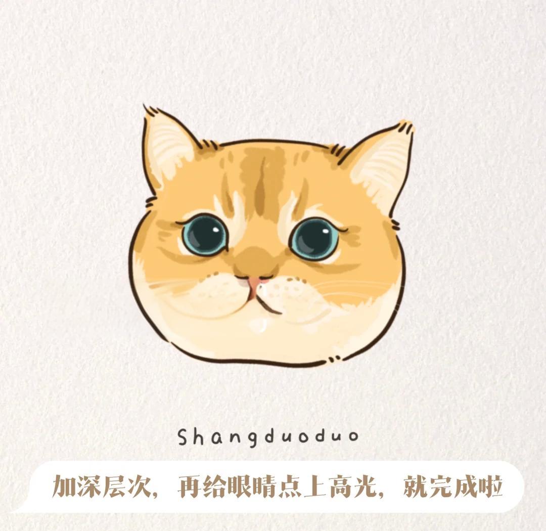 🎨ipad绘画教程:金渐层猫咪详解