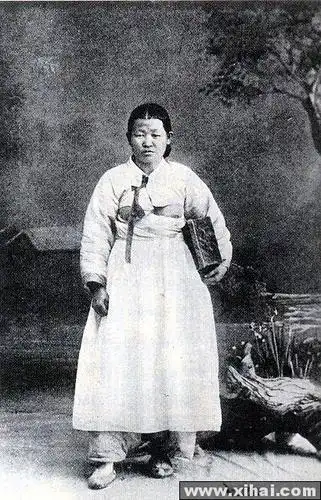 韩国妇女们的坦胸露乳装