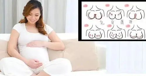 【孕妇学校】孕期及哺乳期的乳房护理