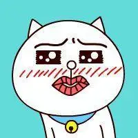 卡通萌猫头像图片好可爱又搞笑的样子不爱才怪了