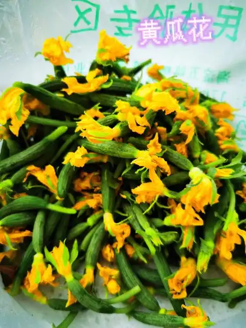 凉拌黄瓜花