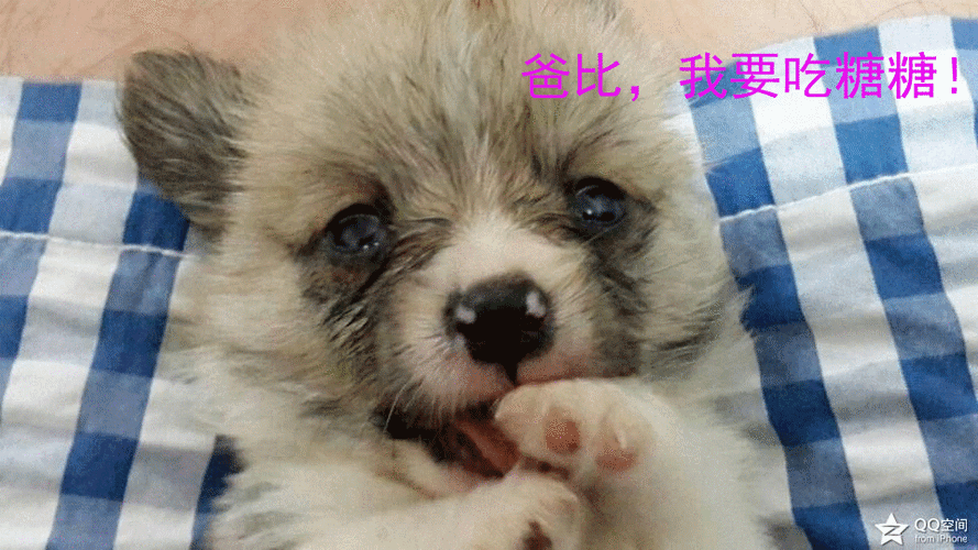 960_540gif 动态图 动图