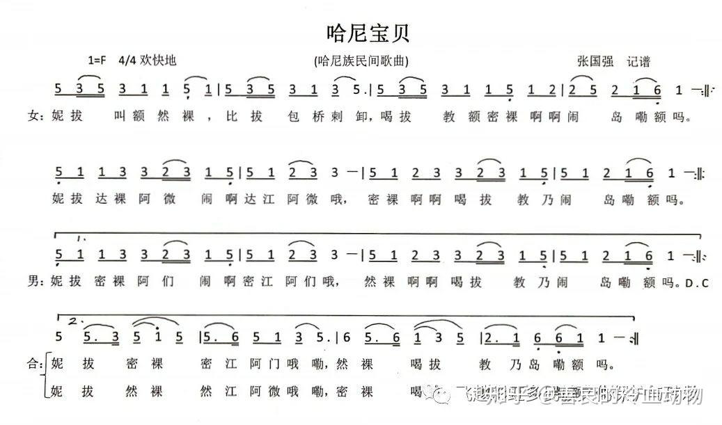 哈尼宝贝里哈尼族歌曲叫啥咋搜太上头了求帮助