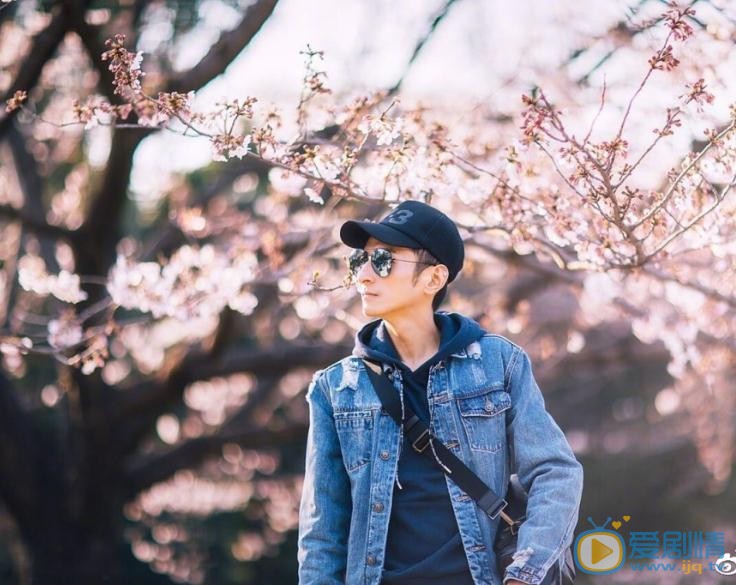 李维嘉个人资料李维嘉个人写真