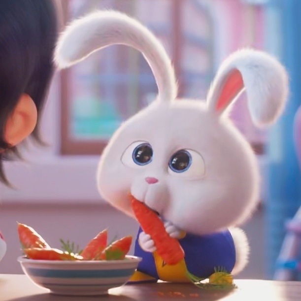 爱宠大机密2# 我太喜欢小白队长了[憧憬] . 来自-yongking- - 微博