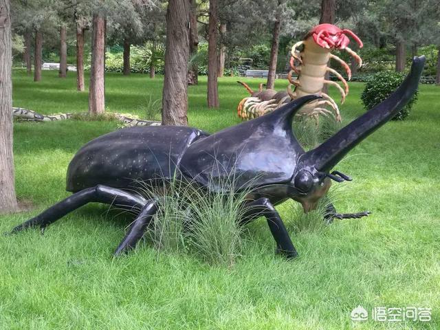 为什么石炭纪会出现身长接近3米的巨型蜈蚣?真是太可怕了?