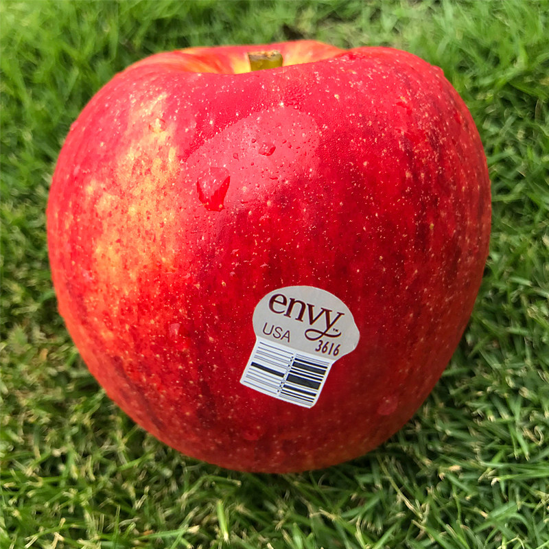 现货美国爱妃苹果进口envy苹果新鲜水果脆甜不氧化苹果礼盒15只