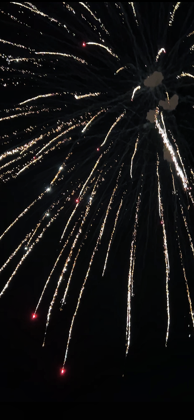 640_1386竖版 竖屏