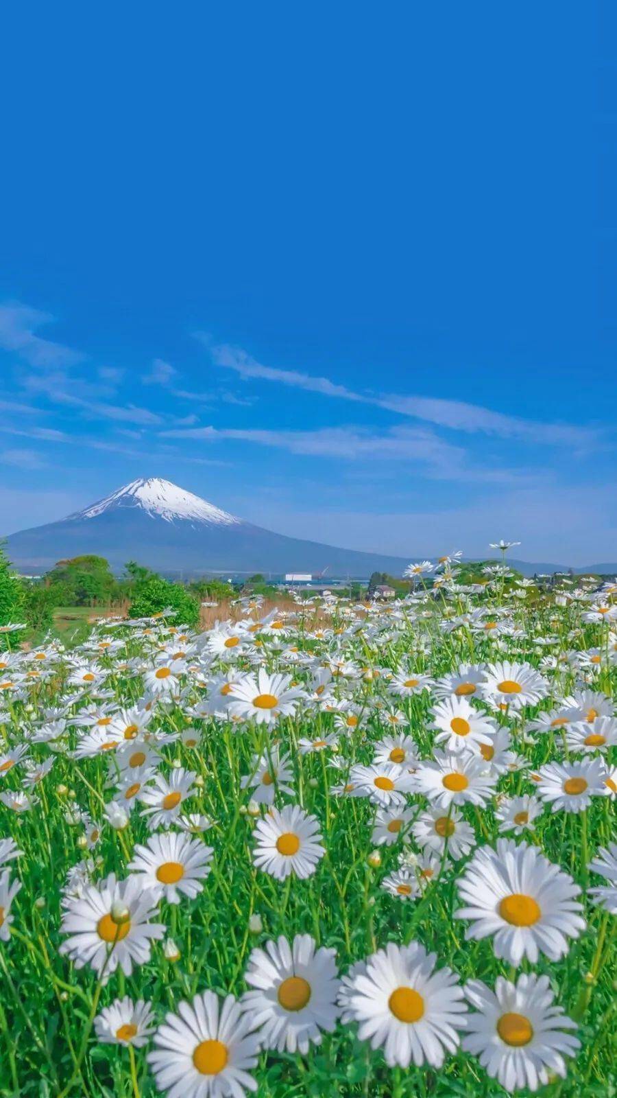 风景壁纸全屏手机壁纸场景