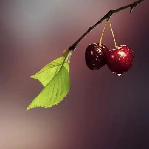 可爱水果头像500x500分辨率红樱桃