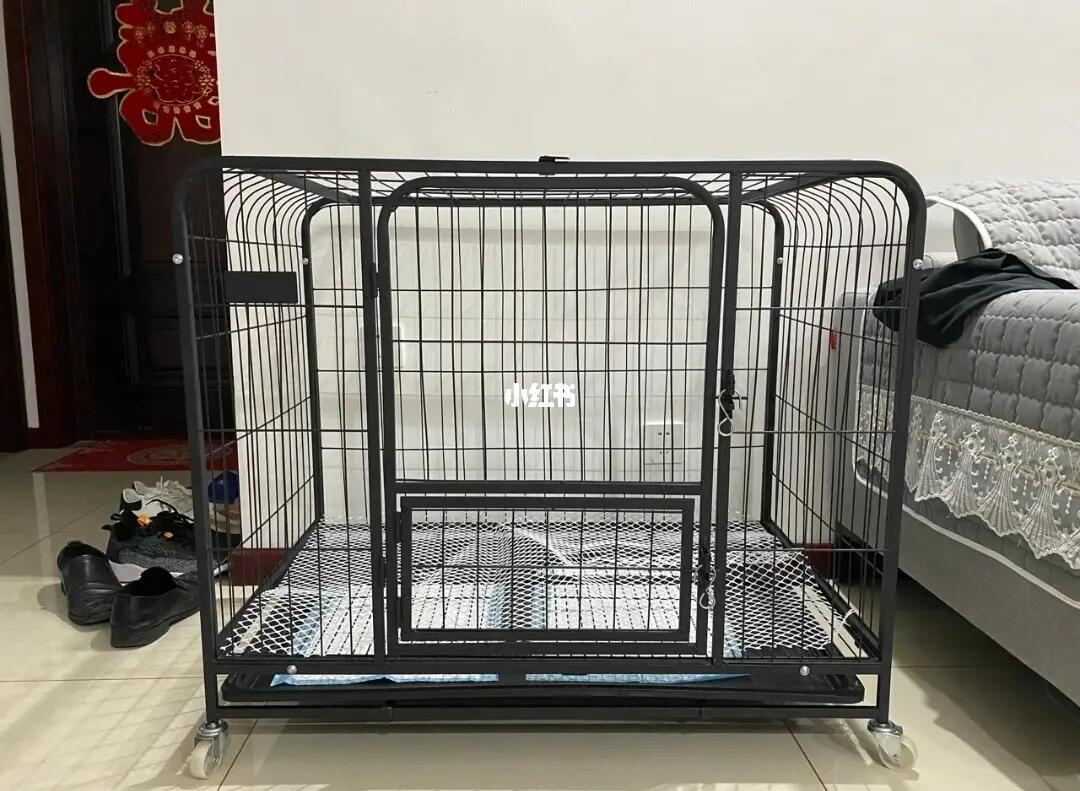 狗笼子拼装完成